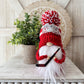 Hockey gnome, Gift idea, Sports gnome, Tiered tray decor, Hockey Family