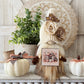 Fall Gnome Decor | Handmade Autumn Gnome with Pumpkins & Books Sign | Rustic Cream Hat Gnome | Shelf Sitter | Farmhouse Tiered Tray Decor