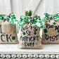 Mini St Patricks sack, St Paddys day decor, Tiered tray decor, Decorative burlap sack, Table top display