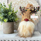Whimsical Knit Rudolph the Reindeer Christmas Gnome with Tangled Lights - Perfect for Tiered Tray Displays