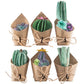 Charming Knit Succulent Plant Gnome - Tiered Tray Decor - Cute and Cozy Home Accent
