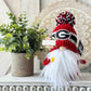 Sports gnome, College gnome, Tiered tray decor, Coffee gnome, Knit gnome, Gift idea, Gnome decor,