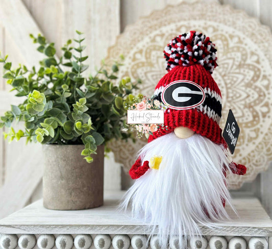 Sports gnome, College gnome, Tiered tray decor, Coffee gnome, Knit gnome, Gift idea, Gnome decor,